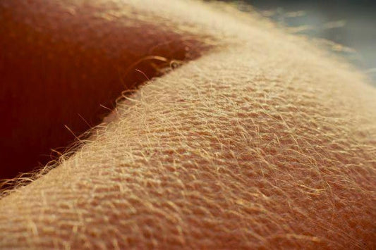 Gänsehaut, Geschwindigkeit & Geheimnisse der Lust - YourSensualSecrets - YourSensualSecrets